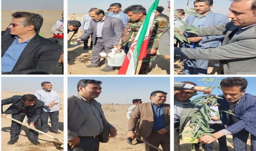 مشارکت آران و بیدگلی ها در توسعه جنگل های دست کاشت