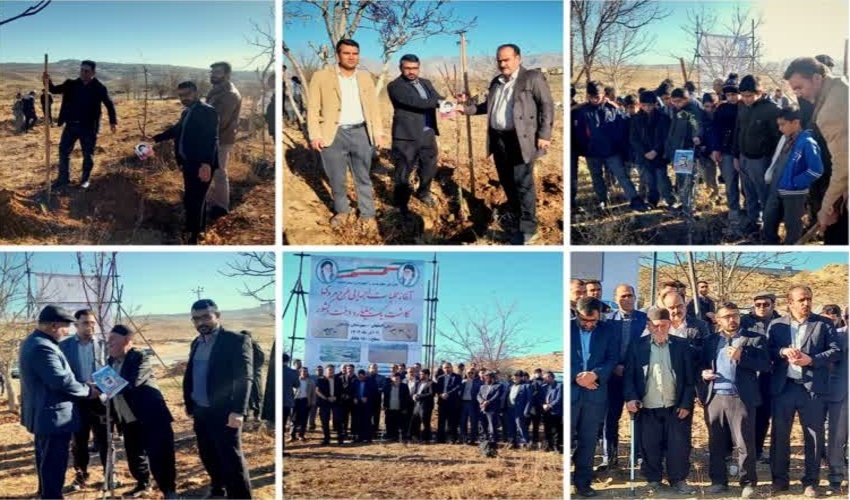 غرس یک هزار اصله نهال در شهرستان گلپایگان