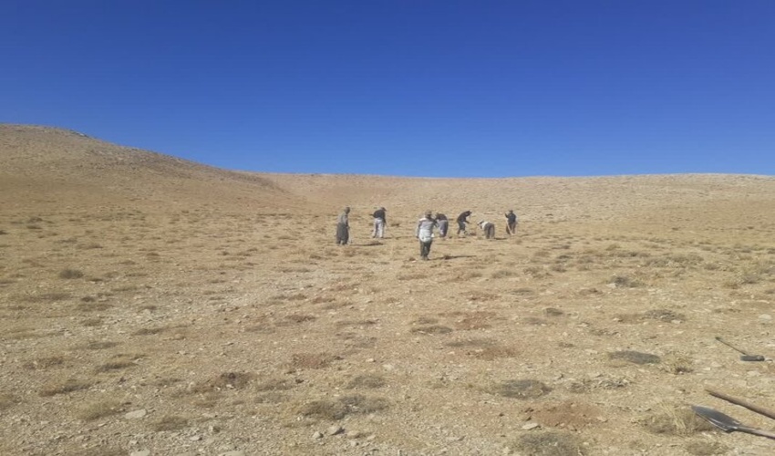 کاشت گیاهان مرتعی در ۳۶۸ هکتار از مراتع شهرستان سمیرم