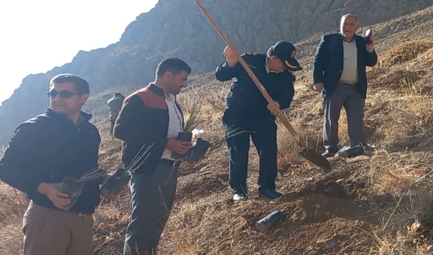 کاشت ۵۰۰ اصله نهال ارژن در آبشار سمیرم