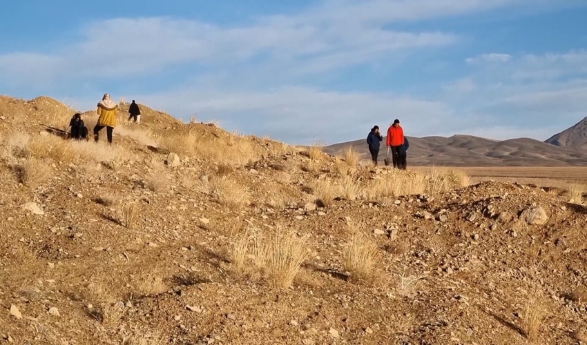 جنگل کاری در حاشیه پارک ملی قمشلو تیران وکرون