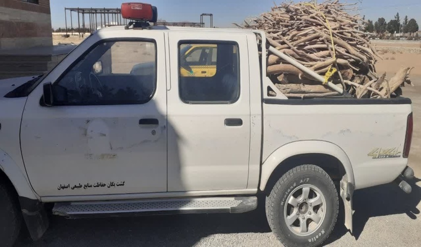 415 کیلوگرم چوب قاچاق در جرقویه علیا کشف و ضبط شد