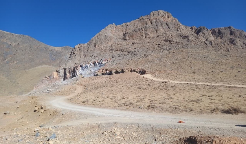 معدن‌داران چادگانی پای کار کاشت نهال شدند