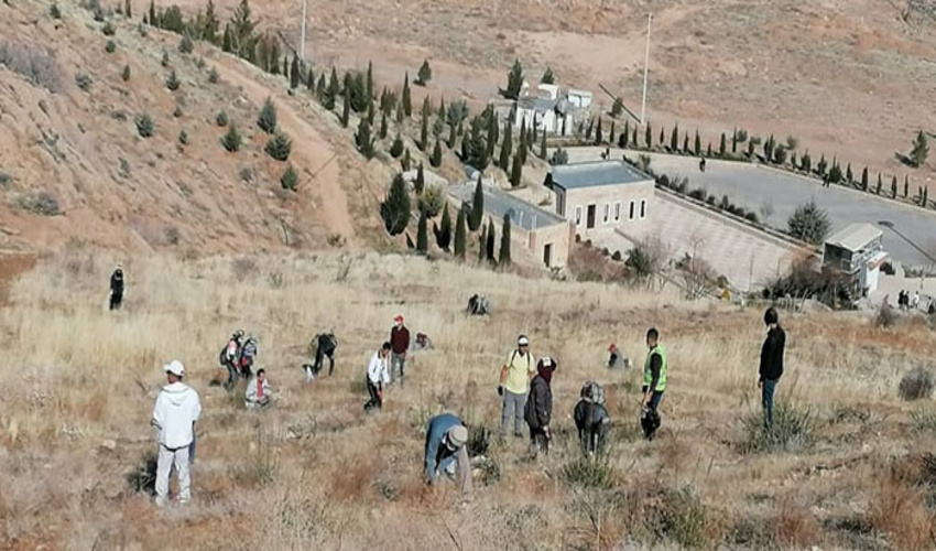 ۳۷۹ هزار اصله نهال در شهرستان شهرضا کاشت می شود