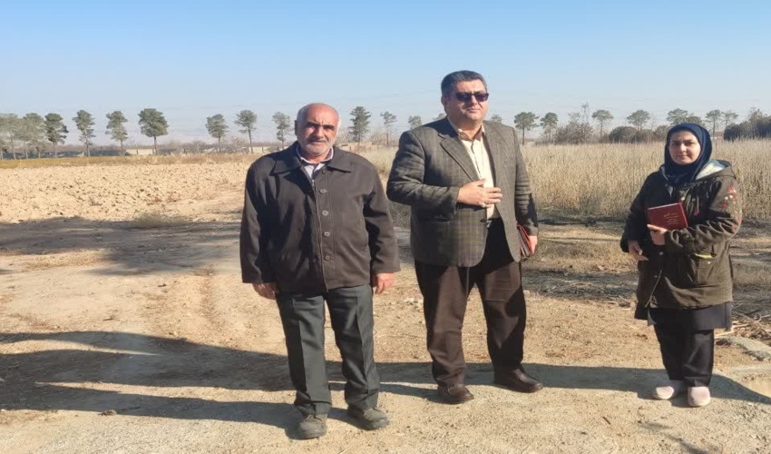 برنامه ریزی تولید نهال در نهالستان شهید جبل عاملیان فلاورجان