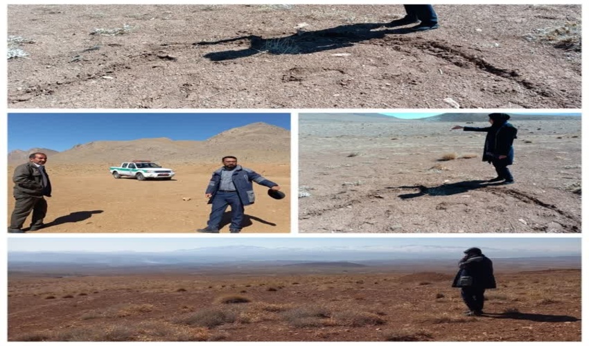 بررسی شرایط کاشت نهال در شهرستان چادگان