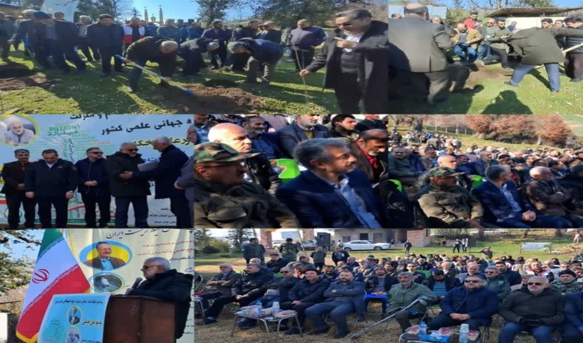 واژه درختداری باید جایگزین درختکاری شود