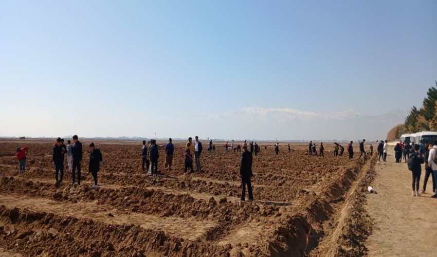 روز خاطره انگیز دانش آموزان کاشانی با کاشت نهال