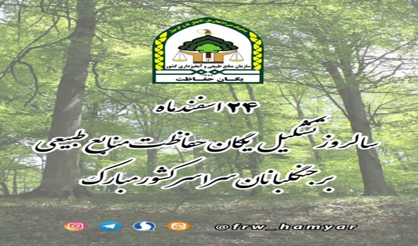 به بهانه ۲۴ اسفند، سالروز تشکیل یگان حفاظت منابع طبیعی؛ نگاهی به تاریخچه گارد جنگل