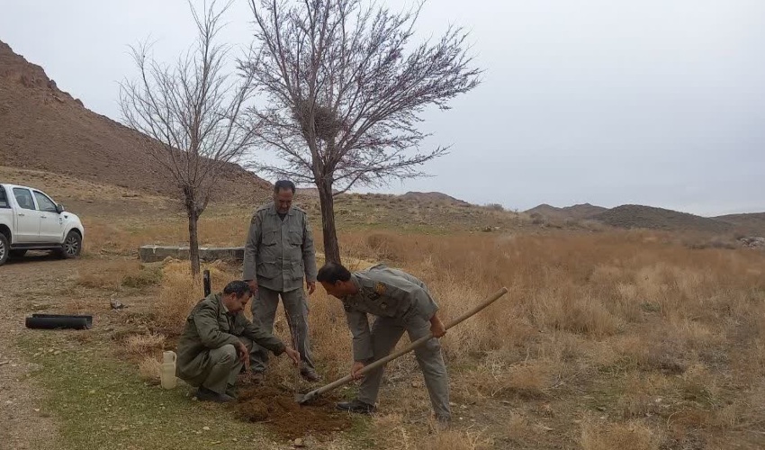 فصل مشترک همکاری های محیط زیست و منابع طبیعی در گلپایگان