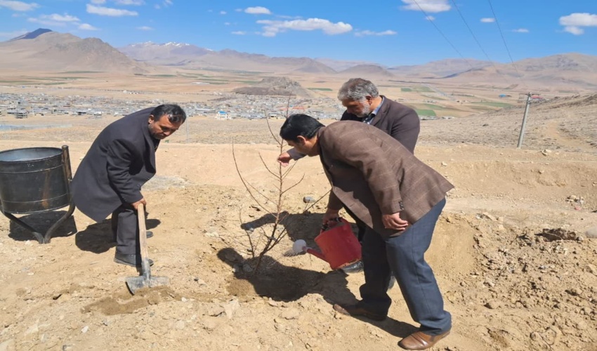 کوهنوردان فریدنی برای کاشت نهال آستین بالا زدند