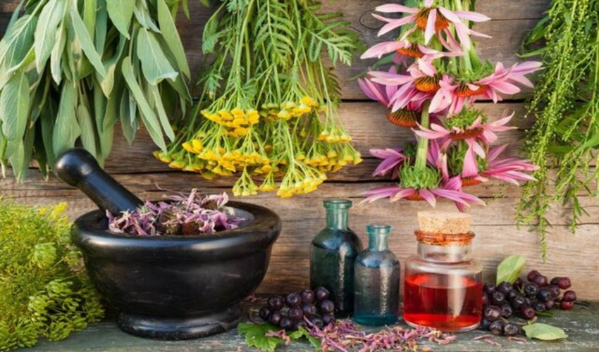 درآمدزایی از گیاهان دارویی مرتعی در قالب طرحی اقتصادی