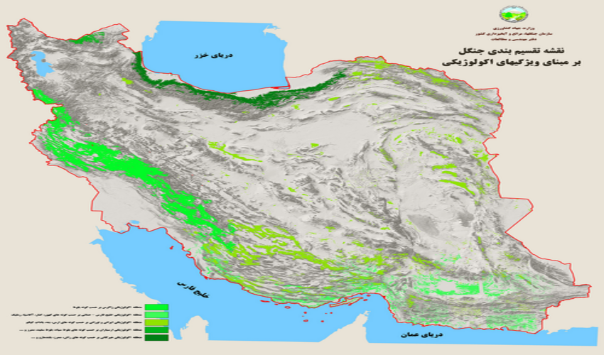 گونه های نهال در جنگل های ایران را بهتر بشناسید/ اصفهان در بین جنگل های زاگرسی