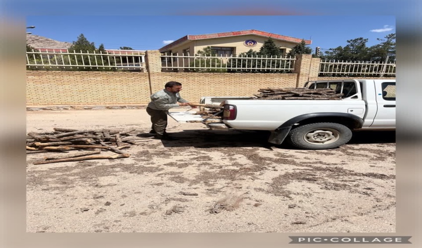 380 کیلوگرم چوب بلوط قاچاق در شهرستان مبارکه کشف و ضبط شد.