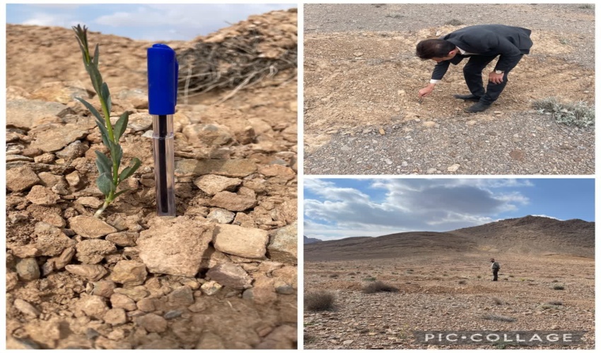 بازدید و ارزیابی از عملیات بادام کاری در سینه کش طالخونچه