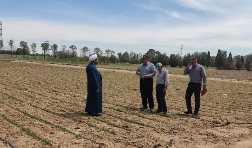 تولید نهال در سال 1403 بر مبنای تقاضای مشارکت کنندگان