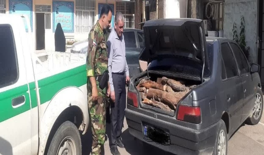 کشف و ضبط بیش از 1600 کیلوگرم چوب بلوط قاچاق