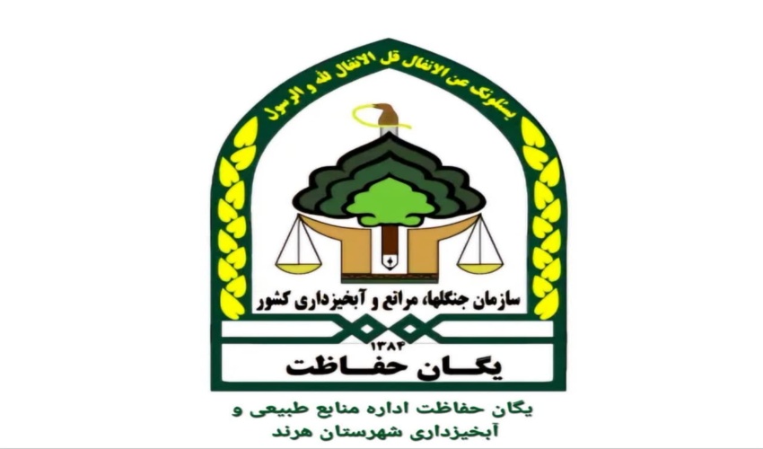 تعقیب و گریز نیروهای یگان حفاظت منابع طبیعی با متخلفان عرصه های تاغزارها