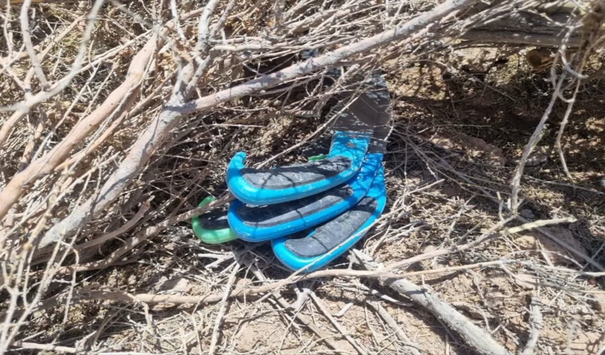 دستگیری عاملان سرقت و تخریب درختان تاغ در شهرستان هرند