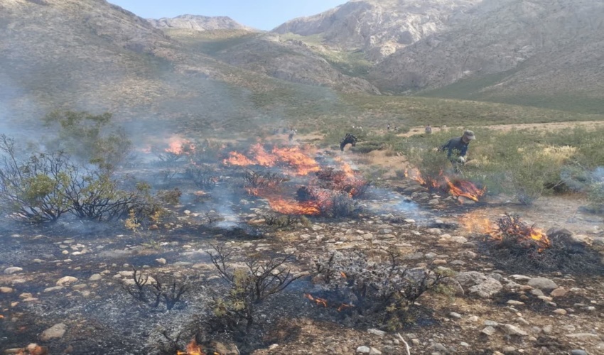 عملیات اطفاء حریق مراتع گنهران با همراهی دوست داران منابع طبیعی