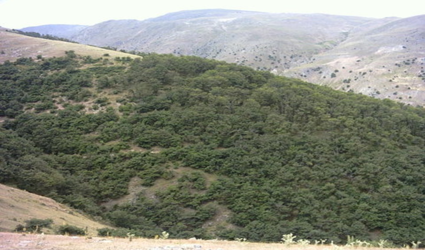 فعالیت ۲ اکیپ یگان حفاظت از عرصه‌های منابع طبیعی گلپایگان