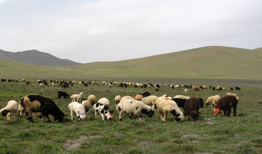 کارگاه آموزشی پیشگیری از حریق در شهرضا