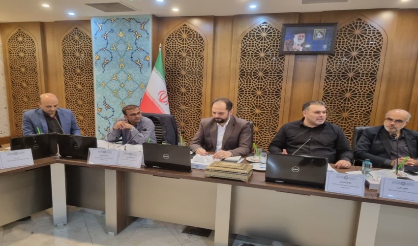 برگزاری کارگروه تعامل کشوری واگذاری معدن در عرصه های ملی