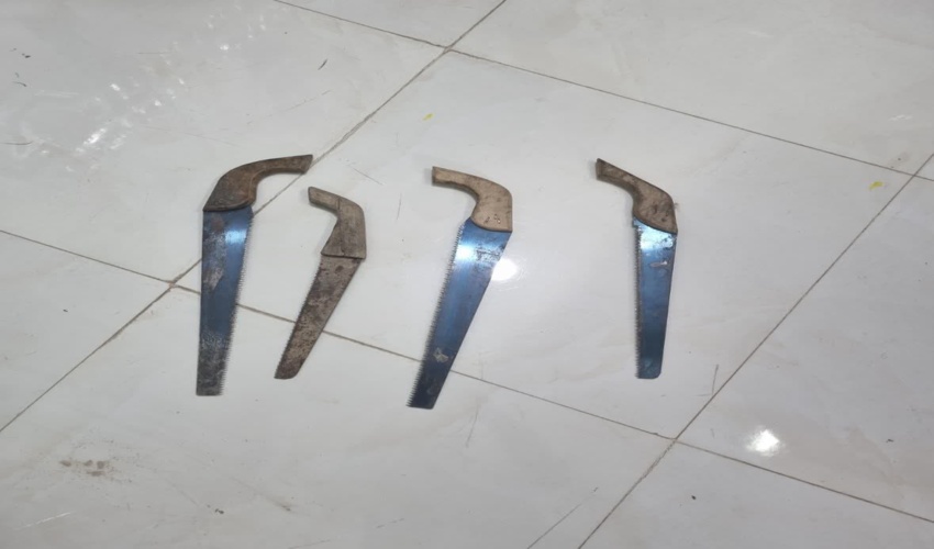 قاچاقچیان چوب نجف آباد در چنگال قانون