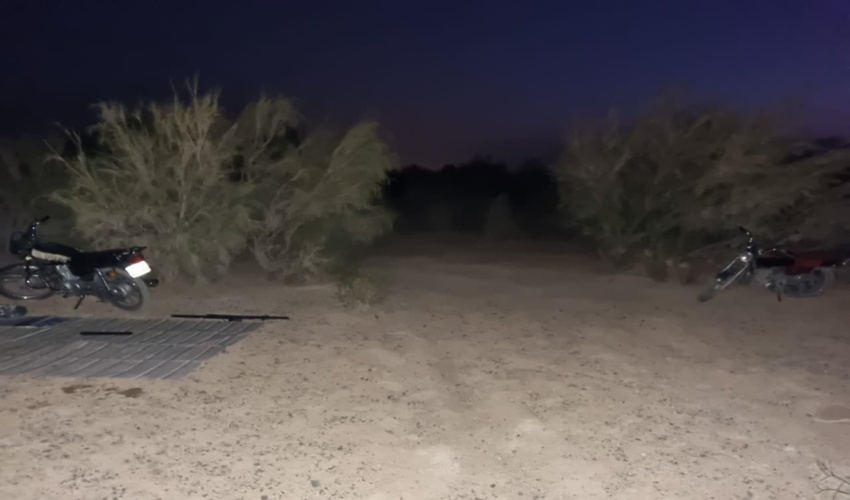 کمین شبانه بسیجیان همیار طبیعت در تاغزارهای هرند