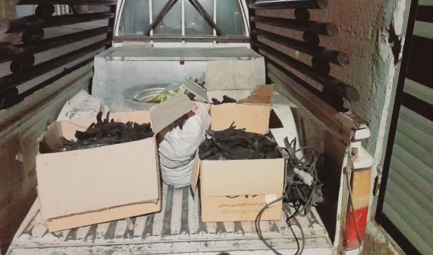 کشف و ضبط زغال تاغ در منزل مسکونی  بخش کویرات