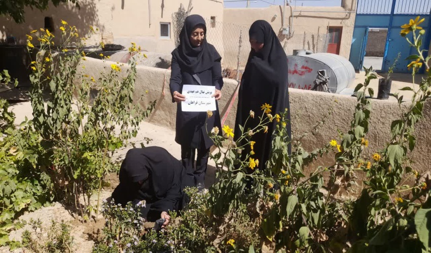 پویش نهال مهر در نجف آباد