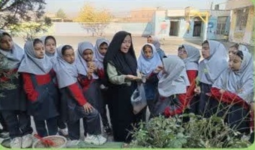 دانش آموزان دختر شهرضایی با کاشت بذر بادام اسکوپاریا آشنا شدند