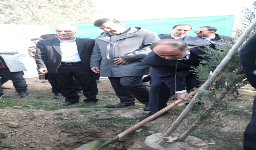 درختکاری در ۴۴٠ نقطه کشور در قالب پویش سراسری در سایه مادر