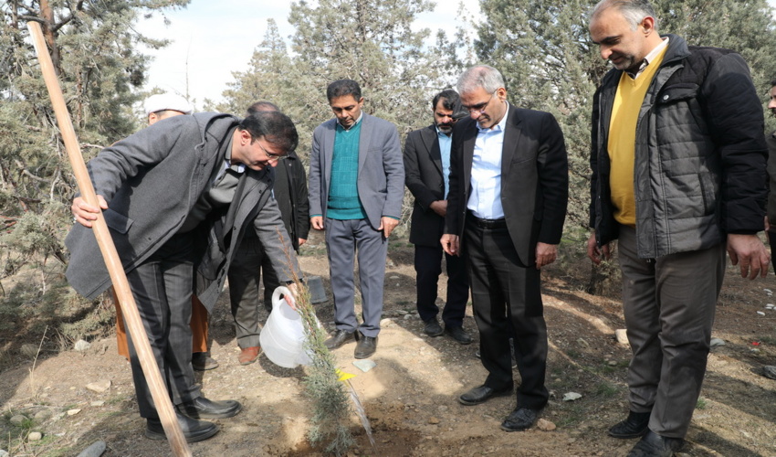 سرپرست سازمان منابع طبیعی و آبخیزداری کشور: ۱۲۰ میلیون نهال برای زراعت چوب تولید شده است