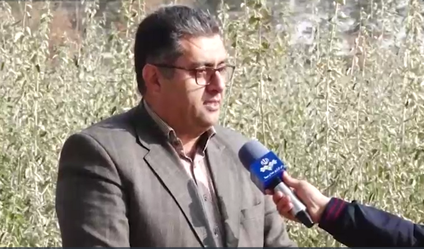 کاشت حدود ۴ میلیون نهال و بذر در استان اصفهان