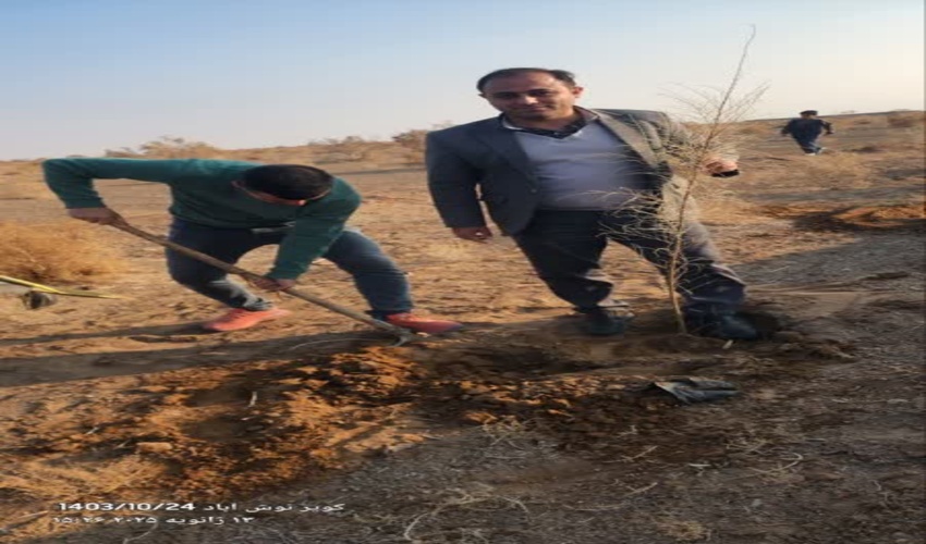 اجرای پویش درختکاری «به نام پدر» در جاده فیض آباد نوش آباد