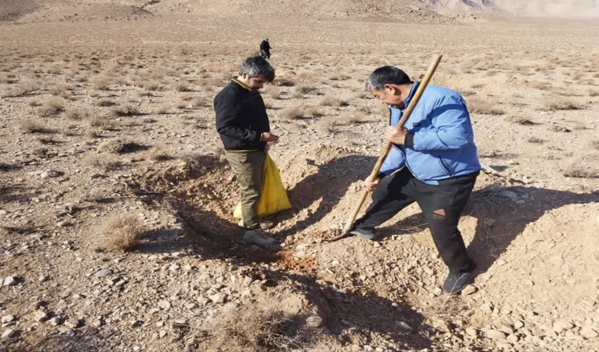 پویش های درختکاری در اصفهان با کاشت گونه‌های کم آب صورت می ذیرد