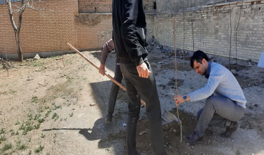 کاشت درخت به جای محکومیت کیفری