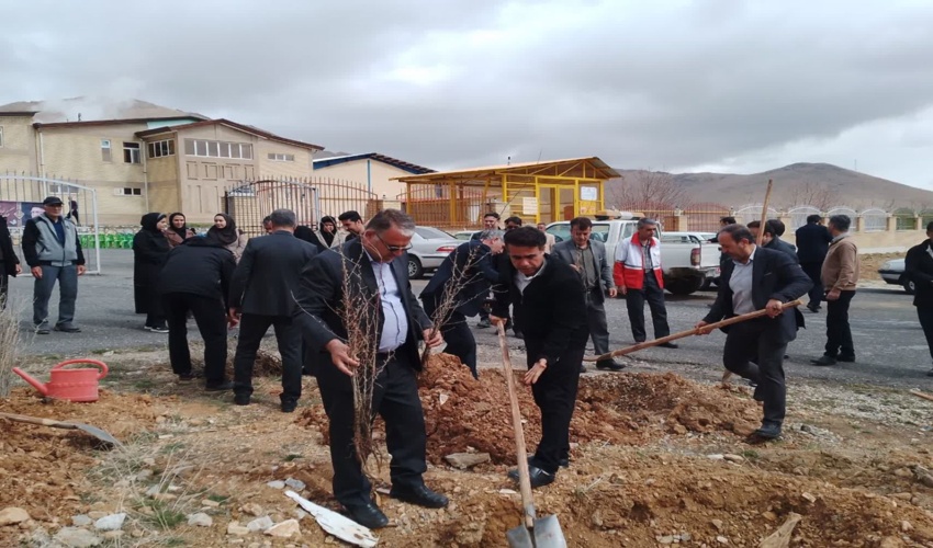 برگزاری  پویش سرو ایران در شهرستان بویین‌میاندشت