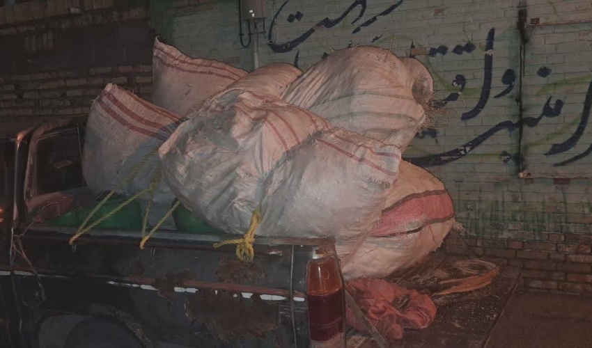توقیف یک دستگاه خودروی حاوی 100 کیلوگرم آویشن کوهی غیرمجاز