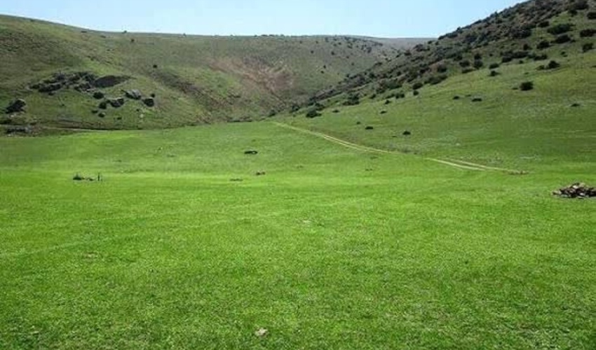 ارزش علوفه مراتع اصفهان به ۶ هزار میلیارد تومان می‌رسد