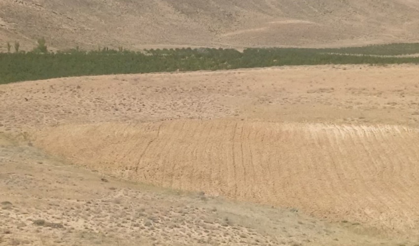 رفع تصرف بیش از ۱۴ هکتار اراضی ملی در بخش وردشت شهرستان سمیرم